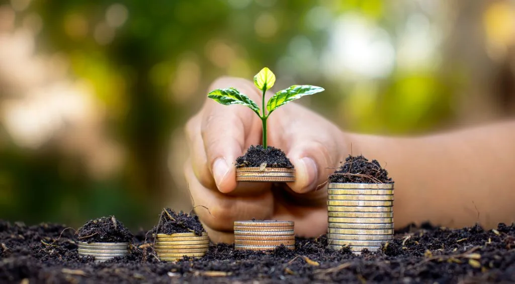 Sustentabilidade financeira: estratégias para o futuro 1 Sustentabilidade financeira